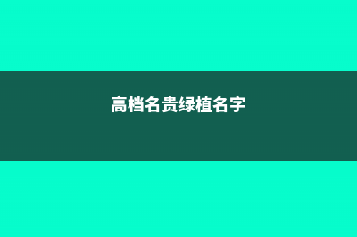 高档名贵绿植 (高档名贵绿植名字)