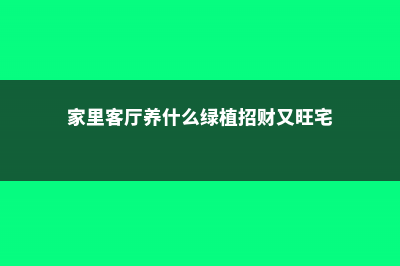 家里客厅养什么绿植好 (家里客厅养什么绿植招财又旺宅)