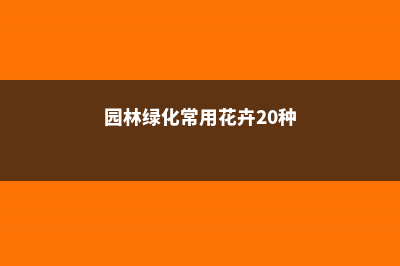 园林绿化常用花卉20种 (园林绿化常用花卉20种)