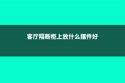 客厅隔断柜上放什么植物好，客厅隔断柜摆设花 (客厅隔断柜上放什么摆件好)