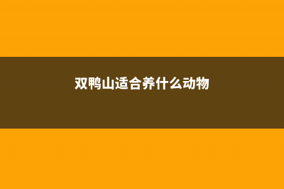 双鸭山适合养什么花，市花和市树是什么 (双鸭山适合养什么动物)