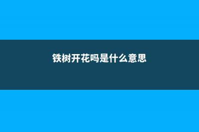 铁树会开花吗是什么意思 (铁树开花吗是什么意思)