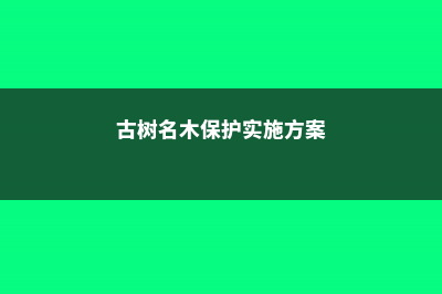 古树名木保护管理办法 (古树名木保护实施方案)