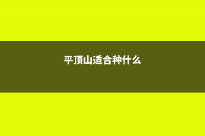 平顶山适合养什么花，市花和市树是什么 (平顶山适合种什么)