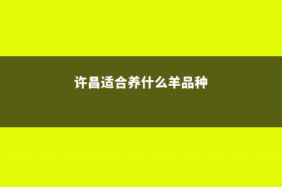 许昌适合养什么花，市花和市树是什么 (许昌适合养什么羊品种)