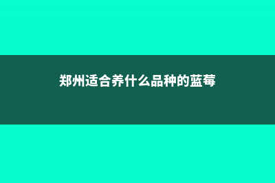 郑州适合养什么花，市花和市树是什么 (郑州适合养什么品种的蓝莓)