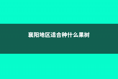 襄樊适合养什么花，市花和市树是什么 (襄阳地区适合种什么果树)