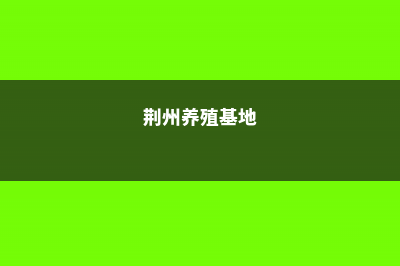 荆州适合养什么花，市花和市树是什么 (荆州养殖基地)