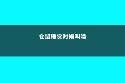 黄冈适合养什么花，市花和市树是什么 (仓鼠睡觉时候叫唤)