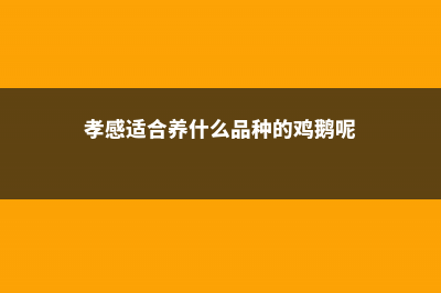 孝感适合养什么花，市花和市树是什么 (孝感适合养什么品种的鸡鹅呢)