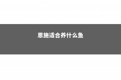 恩施适合养什么花，市花和市树是什么 (恩施适合养什么鱼)