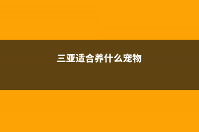 三亚适合养什么花，市花和市树是什么 (三亚适合养什么宠物)