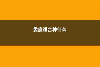 娄底适合养什么花，市花和市树是什么 (娄底适合种什么)