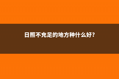 日照适合养什么花，市花和市树是什么 (日照不充足的地方种什么好?)