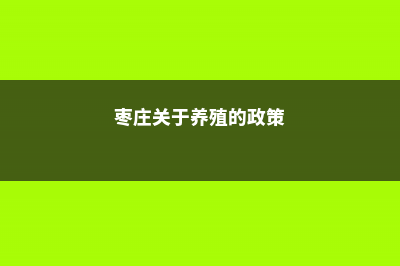 枣庄适合养什么花，市花和市树是什么 (枣庄关于养殖的政策)