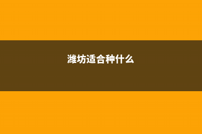 潍坊适合养什么花，市花和市树是什么 (潍坊适合种什么)