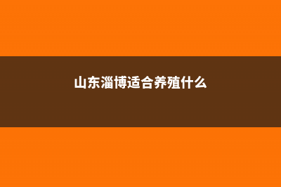 淄博适合养什么花，市花和市树是什么 (山东淄博适合养殖什么)