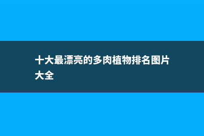 十大最漂亮的多肉植物 (十大最漂亮的多肉植物排名图片大全)