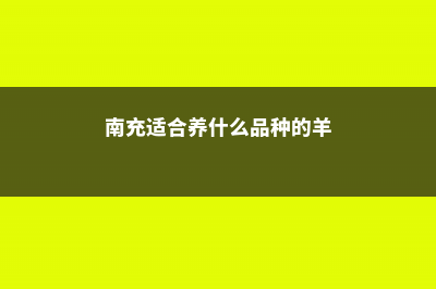 南充适合养什么花，市花和市树是什么 (南充适合养什么品种的羊)