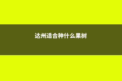 达州适合养什么花，市花和市树是什么 (达州适合种什么果树)