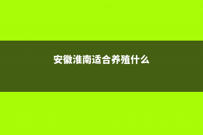 淮南适合养什么花，市花和市树是什么 (安徽淮南适合养殖什么)