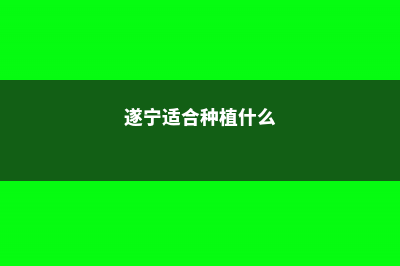 遂宁适合养什么花，市花和市树是什么 (遂宁适合种植什么)