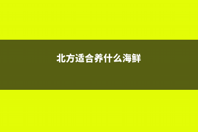 海北适合养什么花，市花和市树是什么 (北方适合养什么海鲜)