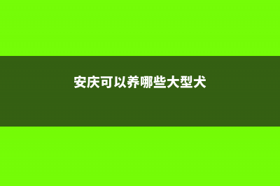 安庆适合养什么花，市花和市树是什么 (安庆可以养哪些大型犬)