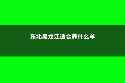 绥化适合养什么花，市花和市树是什么 (东北黑龙江适合养什么羊)