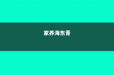 海东适合养什么花，市花和市树是什么 (家养海东青)