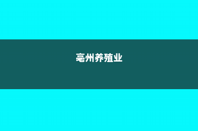 亳州适合养什么花，市花和市树是什么 (亳州养殖业)