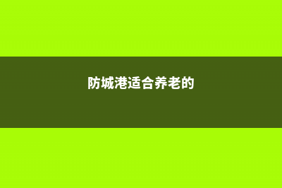 防城港适合养什么花，市花和市树是什么 (防城港适合养老的)