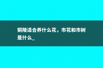 铜陵适合养什么花，市花和市树是什么 