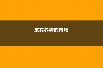 来宾适合养什么花，市花和市树是什么 (来宾养狗的市场)