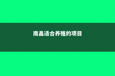 南昌适合养什么花，市花和市树是什么 (南昌适合养殖的项目)