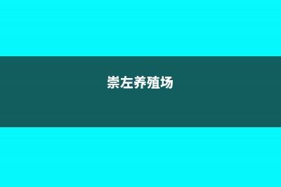 崇左适合养什么花，市花和市树是什么 (崇左养殖场)