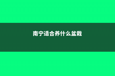 南宁适合养什么花，市花和市树是什么 (南宁适合养什么盆栽)