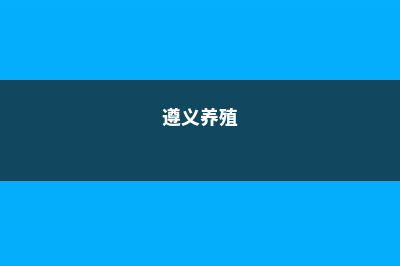 遵义适合养什么花，市花和市树是什么 (遵义养殖)