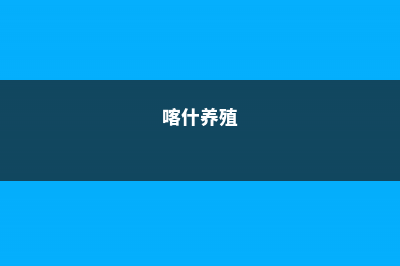 喀什适合养什么花，市花和市树是什么 (喀什养殖)