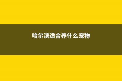 哈尔滨适合养什么花，市花和市树是什么 (哈尔滨适合养什么宠物)