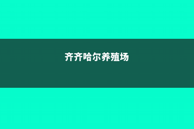 齐齐哈尔适合养什么花，市花和市树是什么 (齐齐哈尔养殖场)