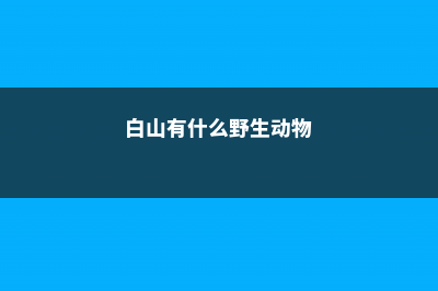 白山适合养什么花，市花和市树是什么 (白山有什么野生动物)