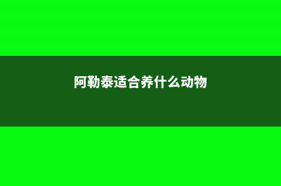 阿勒泰适合养什么花，市花和市树是什么 (阿勒泰适合养什么动物)