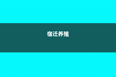 宿迁适合养什么花，市花和市树是什么 (宿迁养殖)