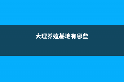 大理适合养什么花，市花和市树是什么 (大理养殖基地有哪些)