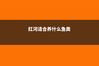 红河适合养什么花，市花和市树是什么 (红河适合养什么鱼类)