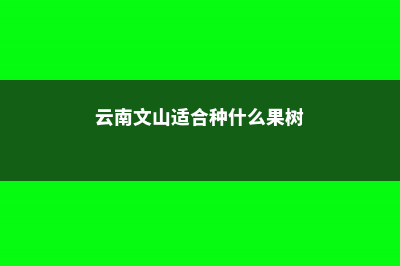 文山适合养什么花，市花和市树是什么 (云南文山适合种什么果树)