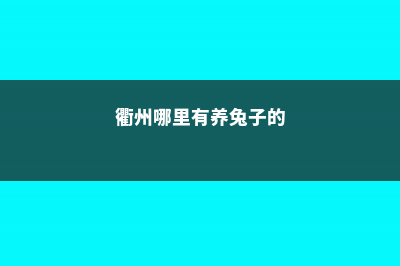 衢州适合养什么花，市花和市树是什么 (衢州哪里有养兔子的)