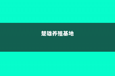 楚雄适合养什么花，市花和市树是什么 (楚雄养殖基地)