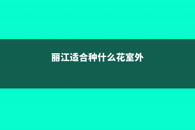 丽江适合养什么花，市花和市树是什么 (丽江适合种什么花室外)